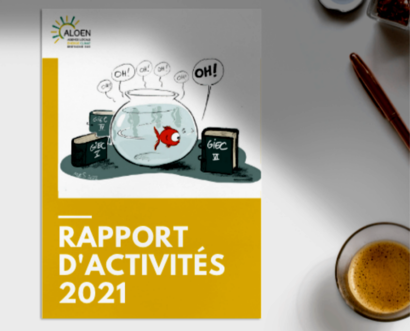 rapport d'activités 2021