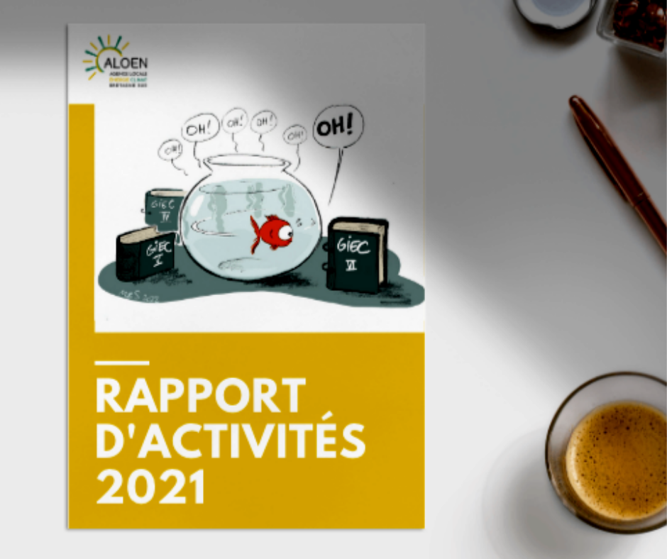 rapport d'activités 2021